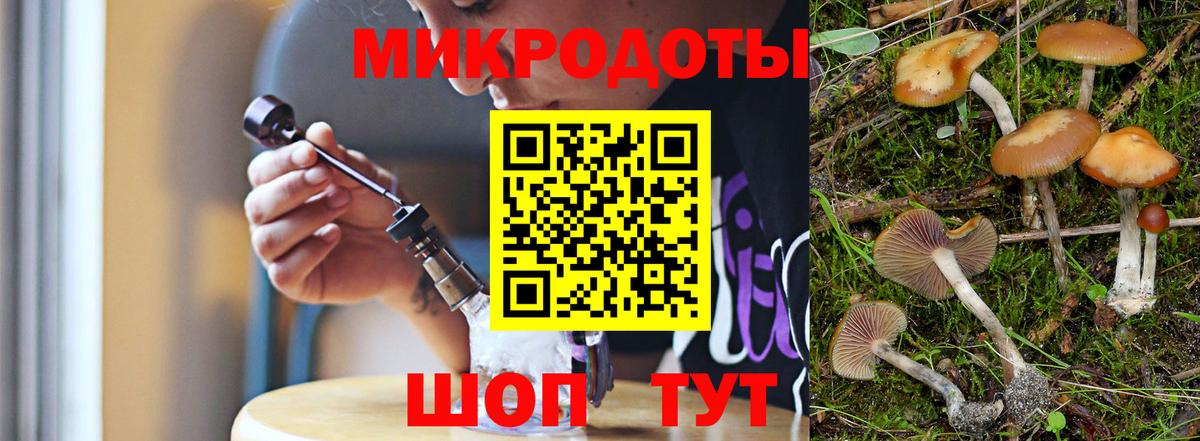 Шадринск  наркотики  Вход с VPN  Галлюциногенные грибы MAGIC MUSHROOMS 